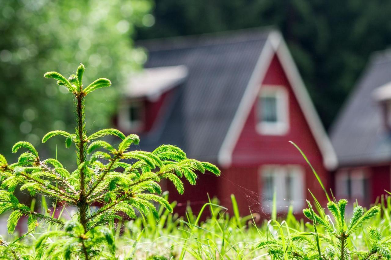 Erzgebirgsidyll Villa ไบรเทนบรุนน์ ภายนอก รูปภาพ